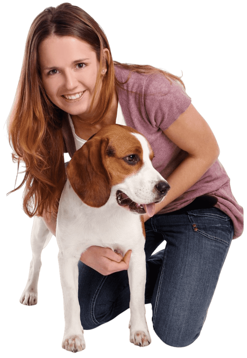 Pet Grooming