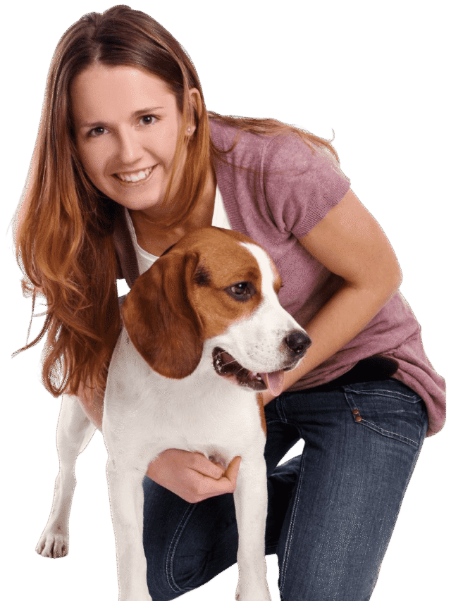 Why is regular grooming essential for your pet’s health-thumnail