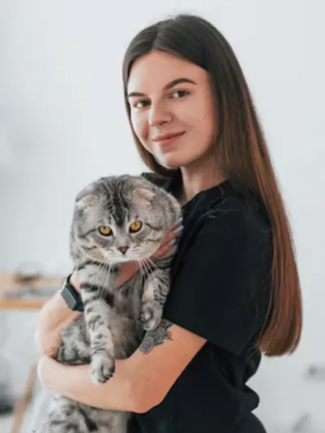 Pet Boarding vs. Pet Sitting: Which One Should You Choose?-thumnail