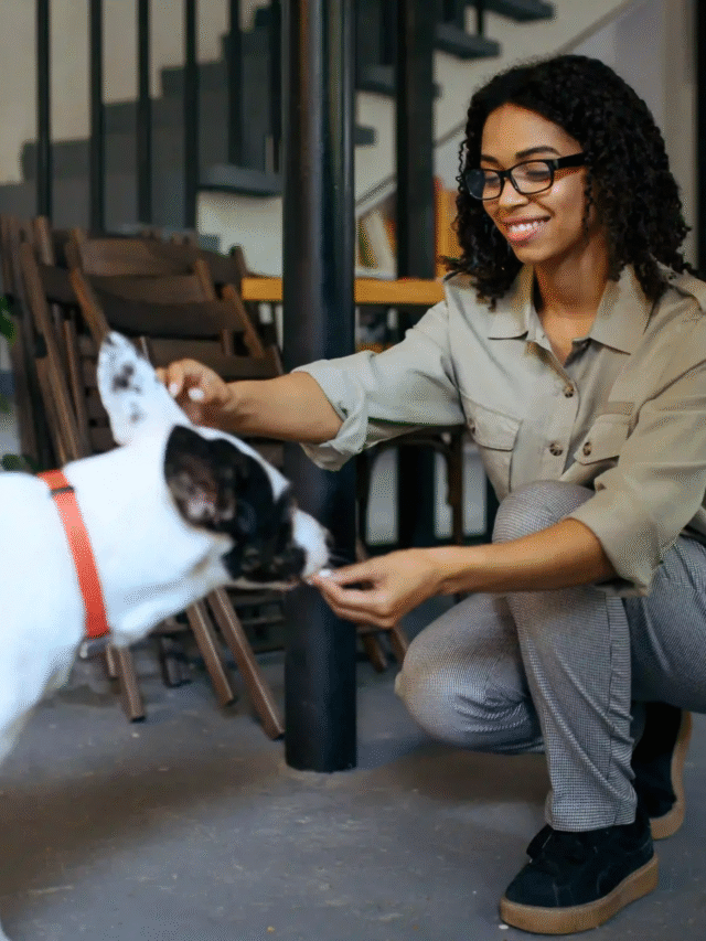 Using Crate Training Effectively in Apartments-thumnail