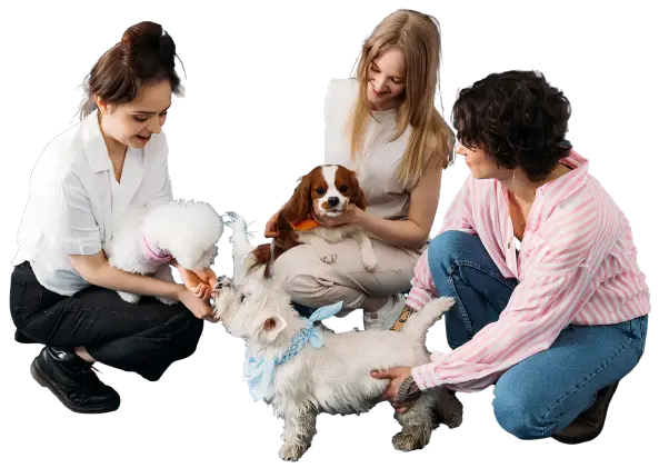 Pet Care