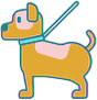 Pet Dentistry