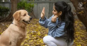 Know Best 10 Cooling Foods That Keeps Your Pet Safe In Summer