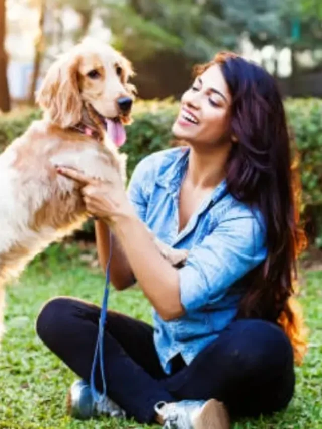 A Groomer Sees What a Pet Parent Can’t-thumnail