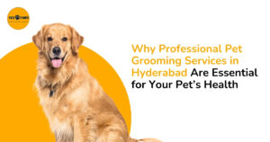 Why Professional Pet Grooming Services in Hyderabad Are Essential for Your Pet’s Health