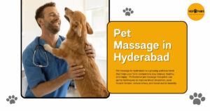 Why Your Pet Deserves a Relaxing Massage