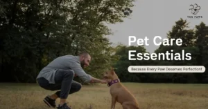 How Professional Dog Training in Hyderabad Improves Your Pet’s Life