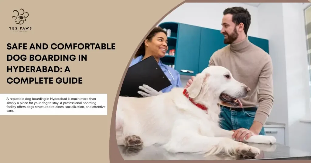Safe and Comfortable Dog Boarding in Hyderabad: A Complete Guide 1 Safe and Comfortable Dog Boarding in Hyderabad A Complete Guide 2