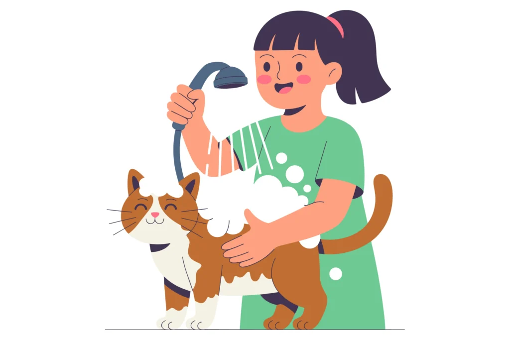 Professional Cat Grooming —Why Your Cat Needs More Than Self-Cleaning 1 Professional Cat Grooming