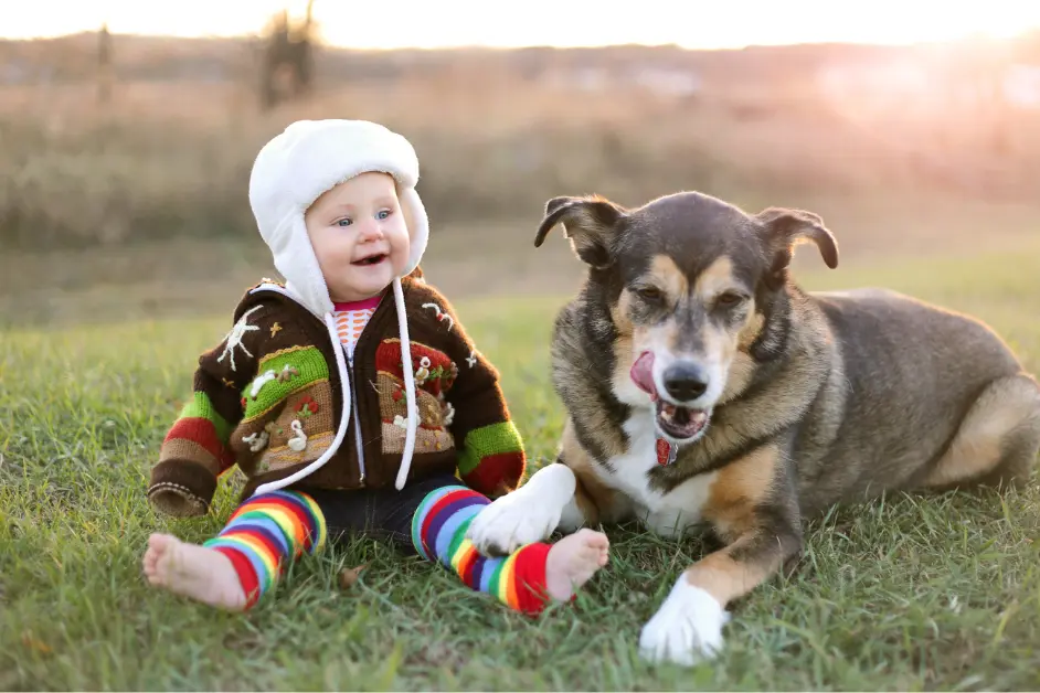 Protect Your Pets in Winter