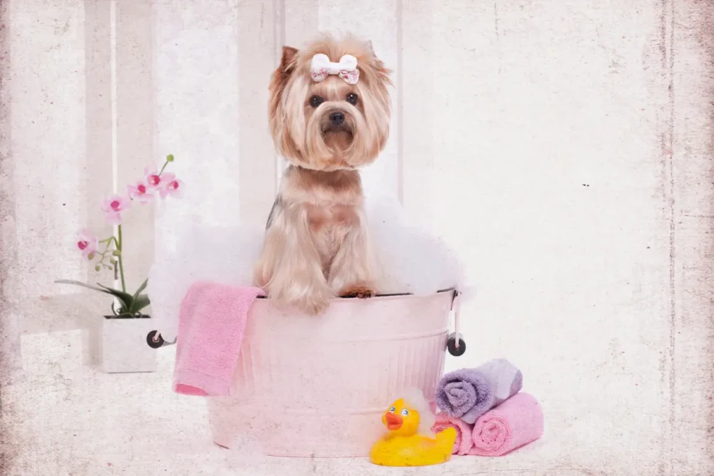 Winter Grooming—Maintaining Natural Defenses