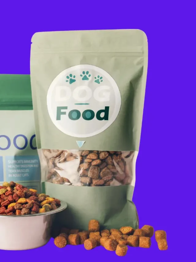 Top 10 Best Dog Food Brands in India 2025-thumnail