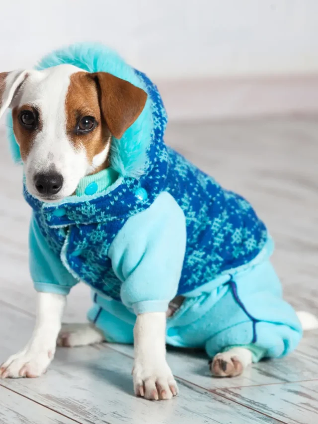 The Early Warning Signs You’re Missing-thumnail