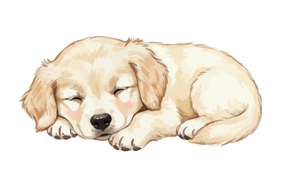 Best Dog Food for Puppies in India