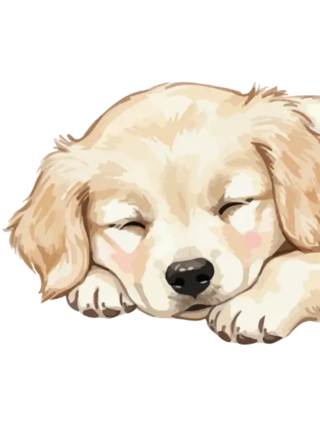 Best Dog Food for Puppies in India-thumnail