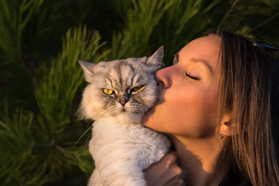 Cat Boarding in Hyderabad 
