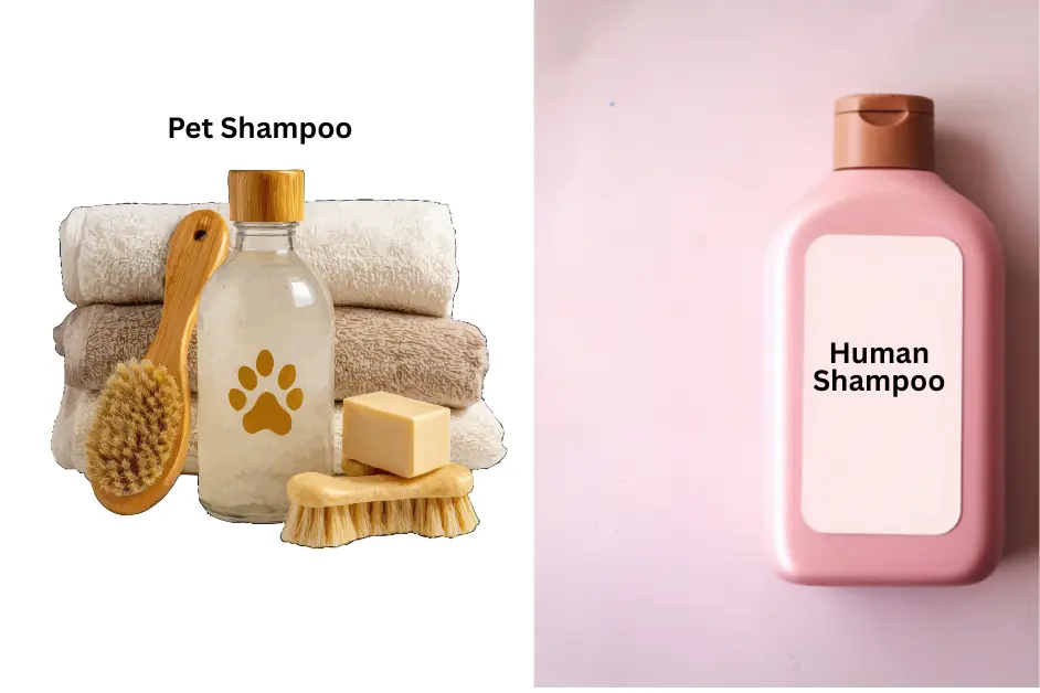 Human Shampoo vs Pet Shampoo