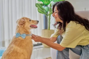 Pet Grooming Is Love in Action: Why Every Brush, Bath, and Trim Matters