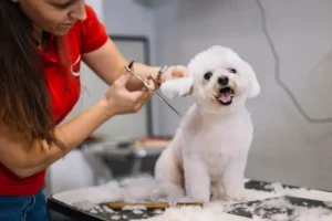 What Happens When Grooming Is Delayed for Months?