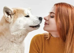 Why Your Dog Follows You Everywhere?