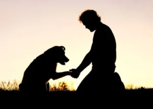 How to Handle the Pet Loss: Understanding and Coping with Pet Loss
