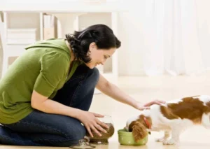 Things to Know Before Adopting a Dog