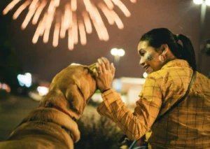 How to Protect Pets from Firecrackers and Manage Their Fear During Festivals