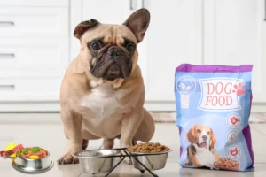 Is Homemade Food Better Than Packaged Pet Food? Here’s What Every Pet Parent Should Know
