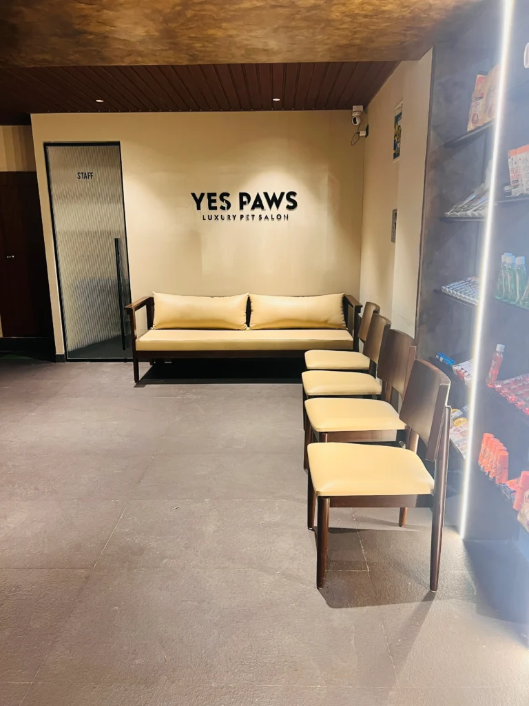  Yes Paws 