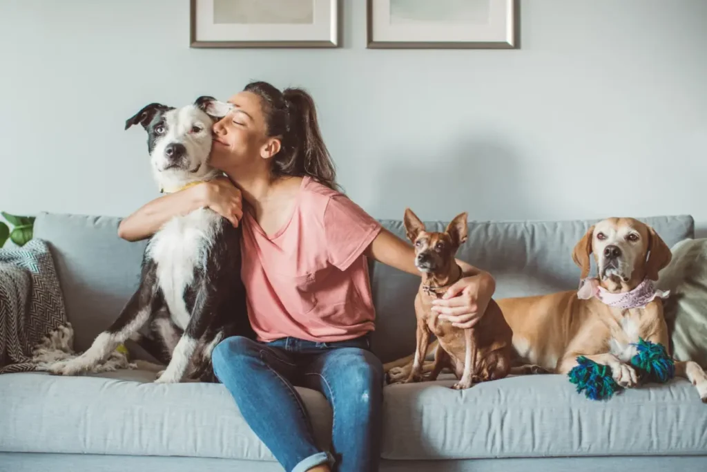 Pet Home
