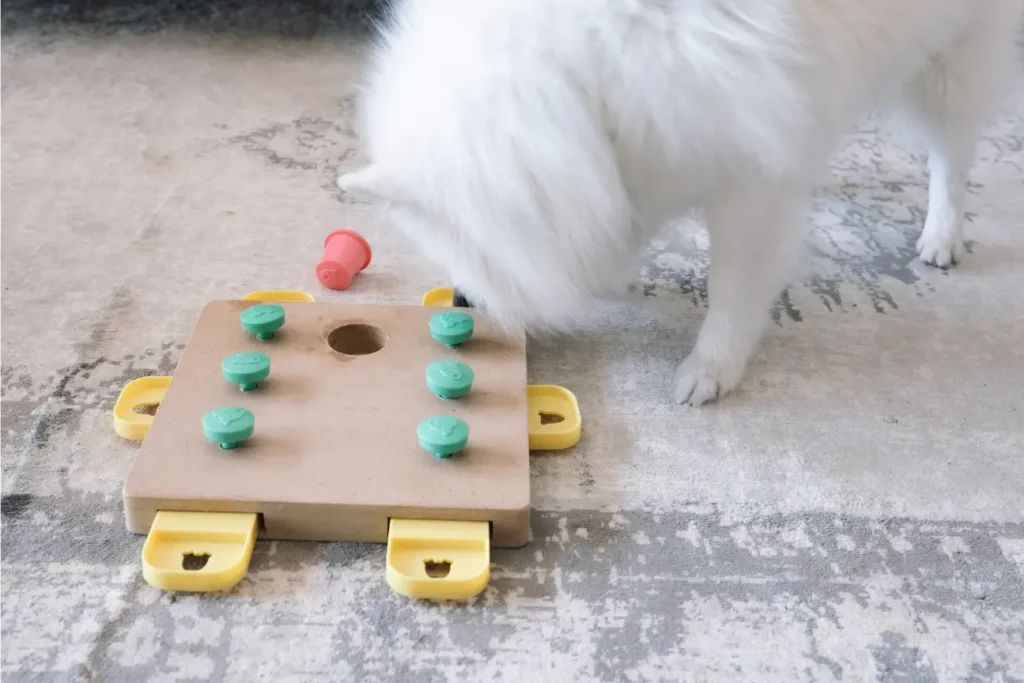 Indoor Games to Keep Pets Active 1 # Indoor Games to Keep Pets Active Rainy afternoons, extreme summer heat, harsh winter cold, or simply a hectic schedule that leaves little time for a long outdoor walk, there are plenty of reasons pet owners occasionally need to keep exercise indoors. The good news is that a lack of outdoor space or time doesn't have to mean a sedentary, understimulated pet. With a bit of creativity, indoor games can provide genuine physical exercise and valuable mental stimulation, sometimes even more engaging than a routine outdoor walk. Whether you're dealing with a high-energy dog stuck inside during a heatwave, a cat who rarely goes outdoors at all, or simply looking to add variety to your pet's routine, this guide covers practical, effective indoor games and activities to keep pets active, engaged, and happy, regardless of the weather or your schedule. ## Why Indoor Activity Matters Physical exercise is only part of what keeps pets healthy and balanced. Mental stimulation plays an equally important role, particularly for intelligent or high-energy animals prone to boredom. Indoor games often combine both elements effectively, engaging a pet's body and mind simultaneously in ways that repetitive outdoor walks sometimes don't. Regular indoor activity helps: - Burn off excess energy, reducing destructive or restless behavior - Provide mental enrichment, particularly valuable for intelligent breeds - Strengthen the bond between pet and owner through interactive play - Offer a reliable exercise option regardless of weather, schedule, or outdoor access limitations - Support healthy weight management alongside other exercise sources ## Indoor Games for Dogs ### Hide and Seek A simple but genuinely effective game, hide and seek taps into a dog's natural scenting and seeking instincts. Have your dog sit and stay (or have someone hold them briefly) while you hide in another room, then call their name and encourage them to find you. This game provides both physical movement and mental engagement, and most dogs quickly learn to enjoy the anticipation and reward of the search. ### Treat or Toy Hide and Seek Similar to the game above, but instead of hiding yourself, hide treats or favorite toys around a room or throughout the house. This activity engages your dog's nose and problem-solving skills, providing excellent mental stimulation even in a relatively confined space. ### Tug of War A classic indoor option, tug of war offers genuine physical exertion in a small footprint. Use a sturdy rope toy, and establish clear rules, such as releasing on command, to keep the game structured and appropriately controlled, particularly important for larger or more excitable dogs. ### Fetch Down a Hallway If you have a long hallway or open living space, a modified indoor version of fetch using a soft toy or ball can provide meaningful exercise, particularly for retrieving breeds who thrive on this type of repetitive, engaging activity. ### Stair Fetch For homes with stairs, tossing a toy or ball up the stairs for your dog to retrieve adds a cardiovascular element to a simple fetch game, offering more intense exercise in a smaller physical space than flat-ground fetch alone. ### Puzzle Feeders and Treat-Dispensing Toys Puzzle toys that require dogs to work for their food or treats provide excellent mental stimulation, and often a fair bit of physical movement as they nudge, paw, and manipulate the toy to access the reward. These are particularly useful for meal times, turning a routine feeding into an engaging activity. ### Obstacle Courses Using household items, cushions to jump over, a blanket tunnel, chairs to weave between, you can create a simple, safe obstacle course. This engages both body and mind, and many dogs find the novelty particularly stimulating compared to routine exercise. ### The "Find It" Game Teach your dog to associate the phrase "find it" with searching for scattered treats or kibble across a room or specific area. This game builds on natural scenting instincts and provides a calmer, but still engaging, form of mental exercise, particularly useful for high-energy dogs who need to wind down. ### Basic Training Sessions as Exercise Short, structured training sessions, working on commands, tricks, or even more advanced skills, provide mental exercise that can be surprisingly tiring for dogs, particularly when combined with movement-based commands like "spin," "sit-to-stand" repetitions, or "crawl." ## Indoor Games for Cats ### Interactive Wand Toys Feather wands or similar interactive toys tap directly into a cat's hunting instinct, encouraging pouncing, jumping, and chasing behavior. Moving the toy unpredictably, mimicking prey movement, tends to generate the most enthusiastic engagement. ### Laser Pointers (With a Physical Reward at the End) Laser pointers can provide excellent cardiovascular exercise for cats, though it's important to end each session by allowing your cat to "catch" something physical, a treat or toy, since failing to provide this resolution can lead to frustration over time. ### Puzzle Feeders Similar to dogs, cats benefit significantly from puzzle feeders that require some effort to access food or treats. This taps into natural foraging instincts and provides both mental and mild physical engagement during what would otherwise be a passive feeding routine. ### Crinkle Balls and Chase Toys Simple, lightweight toys that move unpredictably when batted, like crinkle balls or small toy mice, encourage independent play and physical activity, particularly useful for cats who enjoy solo exploration between interactive sessions with their owner. ### Vertical Climbing and Cat Trees Encouraging vertical movement through cat trees, shelves, or window perches provides valuable physical exercise, since climbing and jumping engage different muscle groups than ground-level play alone. ### DIY Cardboard Mazes Connecting empty boxes with cut-out doorways creates an engaging maze structure that taps into a cat's natural curiosity and love of enclosed spaces, encouraging exploration and movement throughout the structure. ### Ping Pong Balls in the Bathtub For cats who enjoy batting objects around, placing a few lightweight balls in an empty bathtub creates a self-contained play area where the ball's movement and sound provide engaging, independent stimulation. ## Games for Smaller Pets ### Rabbits: Tunnel and Toss Games Rabbits enjoy tunnels, cardboard tubes, or fabric tunnels they can run through, along with lightweight toys they can toss and interact with independently. Hiding small treats within safe, chewable enrichment items also encourages natural foraging behavior indoors. ### Guinea Pigs: Foraging Activities Scattering food throughout a safe play area, rather than serving it in a single bowl, encourages natural foraging movement and mental engagement for guinea pigs during supervised indoor playtime. ### Birds: Foraging Toys and Perch Variety For pet birds, foraging toys that require manipulation to access treats, along with varied perch heights and textures within their environment, encourage natural movement and mental engagement throughout the day. ## Setting Up a Safe Indoor Play Space ### Clear Potential Hazards Before engaging in more active indoor games, particularly those involving running or jumping, ensure the space is free from fragile items, sharp edges, or small objects that could pose a choking risk. ### Use Non-Slip Surfaces When Possible Hardwood or tile floors can be slippery for pets engaging in fast, active movement. Rugs, mats, or designated play areas with better traction help prevent slips and potential injury during energetic play. ### Match Intensity to Your Pet's Fitness Level Particularly for senior pets or those with health conditions, moderate the intensity of indoor games accordingly, favoring gentler, puzzle-based activities over high-impact options like jumping or intense chasing games. ## Building a Consistent Indoor Activity Routine ### Rotate Games and Toys Regularly Just as with outdoor exercise, variety helps maintain engagement over time. Rotating through different games, and periodically introducing new toys or activities, helps prevent boredom from repetitive routines. ### Schedule Short, Frequent Sessions Rather than relying on one long session, particularly for cats or smaller pets, multiple shorter play sessions throughout the day often align better with natural activity patterns and attention spans. ### Involve the Whole Household Distributing play sessions among different family members not only lightens the load for any single person but also helps pets build positive associations and bonds with everyone in the household. ## When Indoor Games Aren't Quite Enough While indoor games provide valuable exercise and enrichment, they generally work best as a supplement to regular outdoor activity for dogs, rather than a complete, permanent replacement. If circumstances require extended indoor-only periods, extreme weather, recovery from injury, or limited outdoor access, combining a variety of the games above with any safe outdoor time available helps ensure your dog's overall exercise needs remain reasonably well met. For cats and smaller pets who may spend most or all of their time indoors regardless of circumstances, building a consistent, varied indoor enrichment routine becomes an essential, ongoing part of their overall care and wellbeing. ## Keeping Pets Engaged, Rain or Shine Indoor games offer a genuinely valuable way to keep pets physically active and mentally stimulated, regardless of weather, schedule constraints, or living situation. From classic games like hide and seek and tug of war to puzzle feeders and DIY obstacle courses, there's a wide range of options suited to different pets, energy levels, and living spaces. With a bit of creativity and consistency, indoor play can become just as enriching, and in some cases just as tiring, as time spent outdoors, ensuring your pet stays happy, healthy, and engaged no matter what's happening outside.